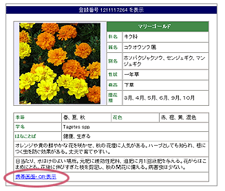QRԐ}Ӂ@ڍ׉